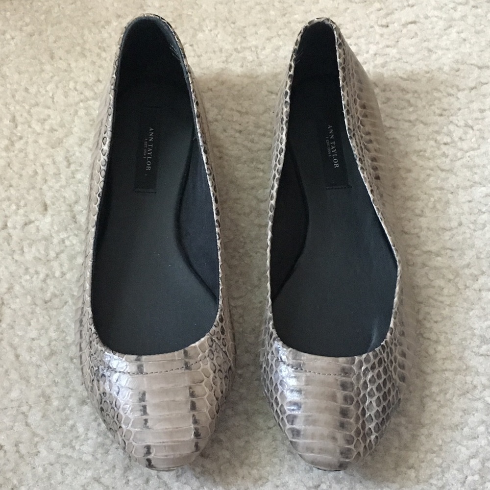 Ann Taylor snakeskin leather flats, never worn